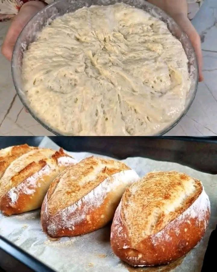 FB_IMG_1765289062412