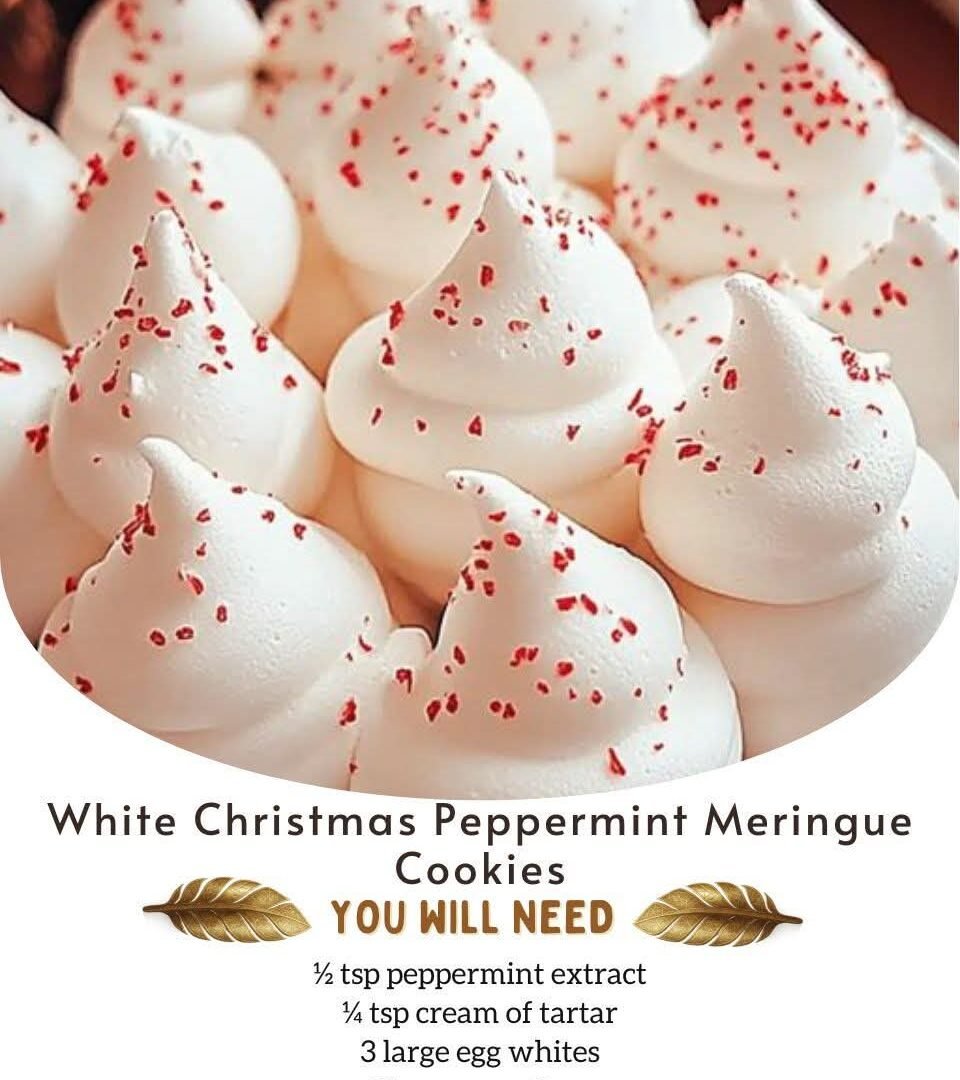 FB_IMG_1767116996424