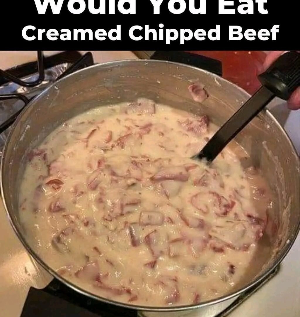 1767377669534