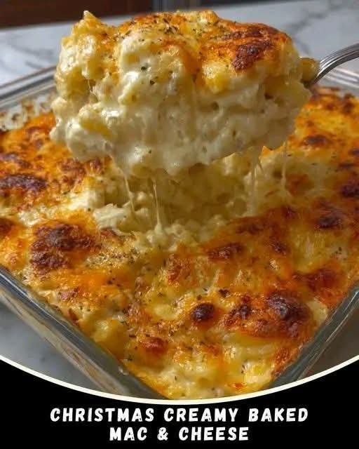 FB_IMG_1767591133519